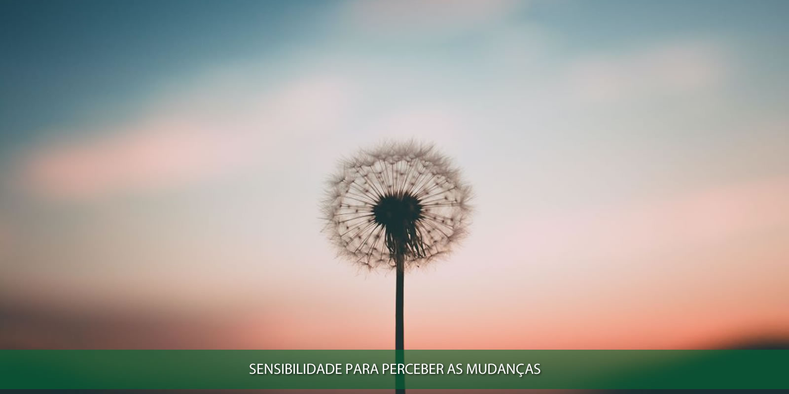 Figura 4 - GESTÃO DE PESSOAS. ENTENDA O QUE A CONTABILIDADE TEM A VER COM ISTO